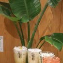 범어천로 | 수성구 범어동 카페, 디저트 맛집 매스커피 범어천로