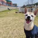 올바른참견 이미지