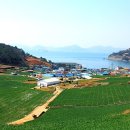 말다랭이섬 네이버블로그