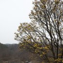 화전3리 경로당 이미지