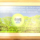 박달林