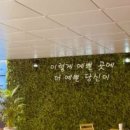 로버게스트하우스