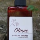 샴푸호텔 이미지