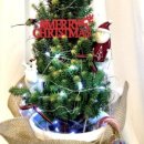 자정농장 이미지