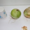 신기녹색농촌체험마을 이미지