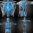 알파신경외과의원 이미지