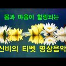 티벳 명상 음악-연꽃 이미지