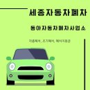 세종 자동차 이미지