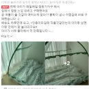 우주부라이프 이미지