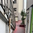 프렌즈스크린노량진점 | <서울/노량진>프렌즈스크린노량진점 내돈내산 방문후기