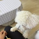 노영복 헤어살롱 네이버블로그