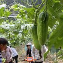 오음2리 이미지