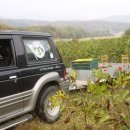 청송흑염소농장 이미지