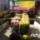 내토재래시장 이미지