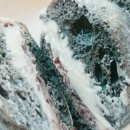 브래드씨(breadsee)