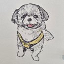 밍키펫마트