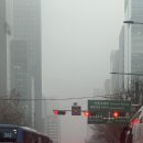 럭키청과 | 2026 1월 일상 기록 part.2