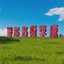 초원 - 의정부시 평화로562번길 47-7 | 초원