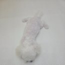 오늘도 해맑개 이미지