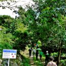 내일1리 이미지