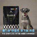 우리강아지 | 웰스비 어덜트 유기농 사료 끝판왕 우리 강아지 인생템 등극 솔직 후기