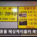 유달시립테니스장목포시 | 제주도연동맛집 유달콩물 해상케이블카 북항직영점 신선한 국산콩의 진한 맛