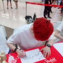 라이브헤어겔러리 이미지