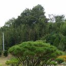 봉수농장 이미지