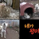 상동농장 이미지