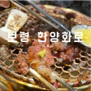 한양화로보령명천점