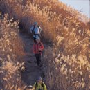 오서산사슴목장 이미지