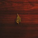 경희바른한의원 이미지