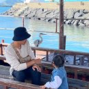 제주서쪽 한림 아기랑 낚시체험 &lt;올레바당낚시&gt; 후기