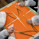 해빛유치원 이미지