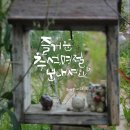 푸른햇살