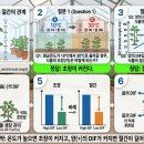 DIF값과 초장 vs 절간과의 관계 이미지