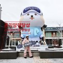 곤지샵 | 곤지암 스키장 렌탈샵 추천 곤지암 스키강습 비용