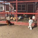 낙원농장2 이미지