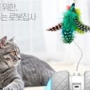 냥이캣
