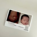 (주)하영이앤아이 | [임신일기 - 8] 임신 23 - 27주