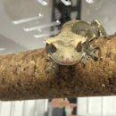 리틀버드서울 버드앤주클리닉 이미지