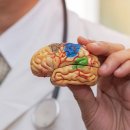 노형365준의원 이미지