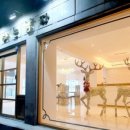 분당고양이분양 고사남 이미지