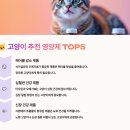 강아지세상 고양이세상 | 🦴 반려동물 영양제 추천 TOP10 – 강아지·고양이별 효과/성분 비교