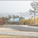 영주시장 이미지