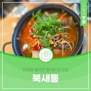 53 | 대전 중구 유천동 맛집 북새통 얼큰한 동태찌개 후기