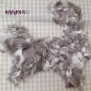 고양이의 산책:묘책 이미지