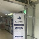 숙명더피아노음악교습소 네이버블로그