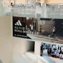 알파 트레이닝센터 | 아디프로4(아디제로 아디오스 프로 4') 할인가 득템과 500km 실착 솔직 후기 및 추천🔥 <내돈내산 솔찍후기>