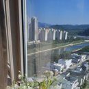 오투 플라워 이미지